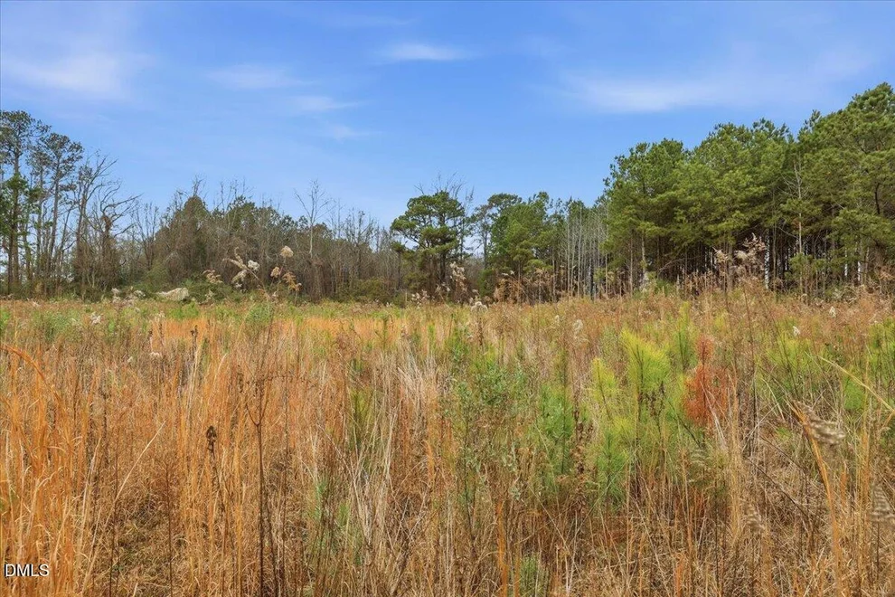 Unit for sale at 00 E Fayetteville Street, Micro, NC 27555