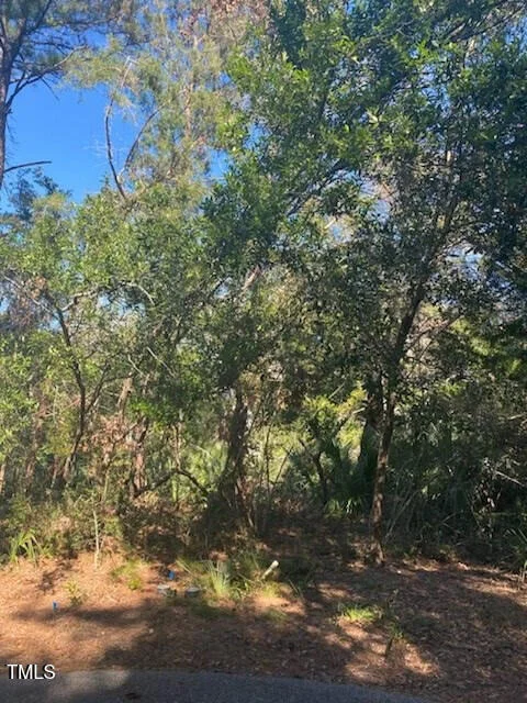 Unit for sale at 9 Laurel Cherry Court, Bald Head Island, NC 28461