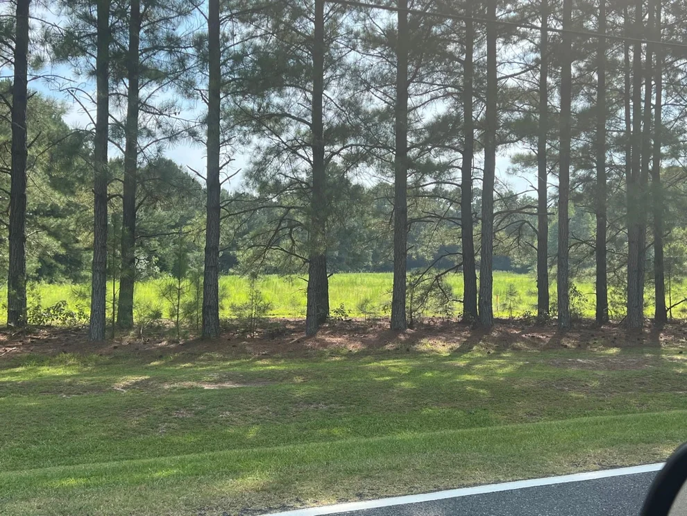Unit for sale at 3466 Matthews Mill Pond Road, Angier, NC 27501