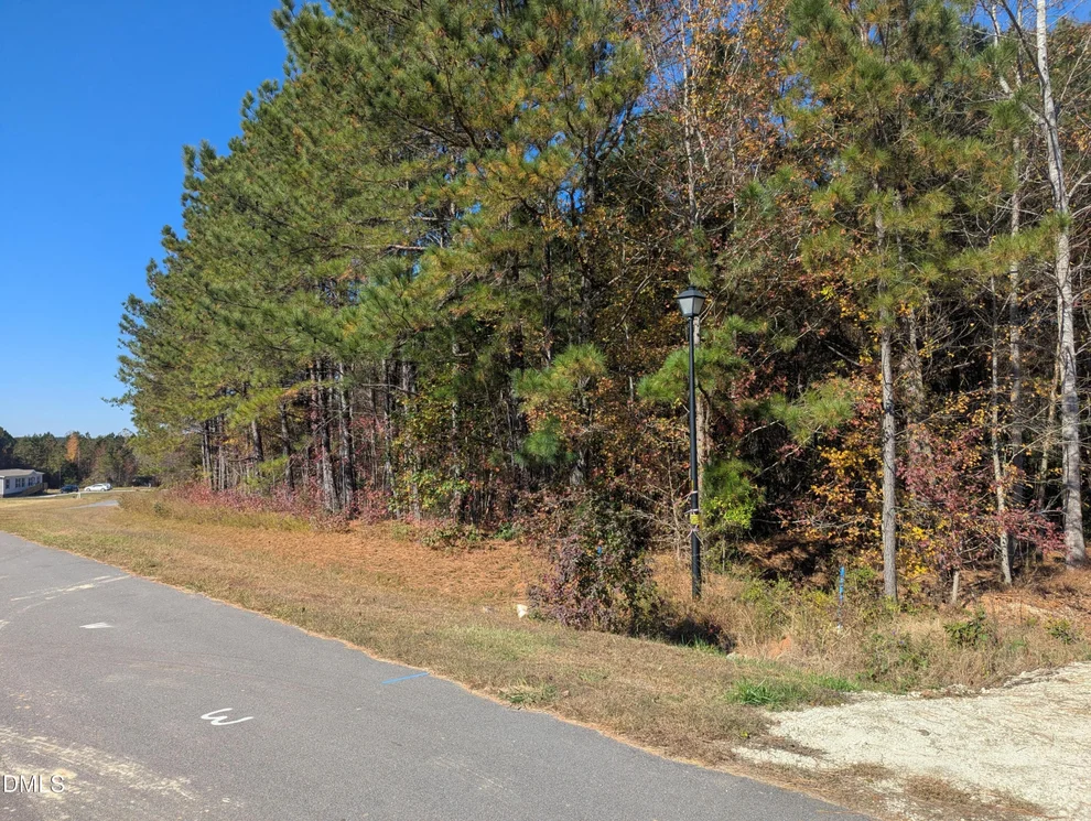 Unit for sale at 0 Sandy Plains Lane, Warrenton, NC 27589