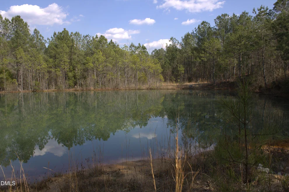 Unit for sale at 1121 D L Phillips, Broadway, NC 27505