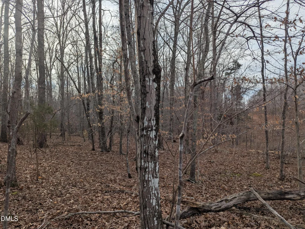 Unit for sale at 00 Dirgie Mine Road, Roxboro, NC 27574
