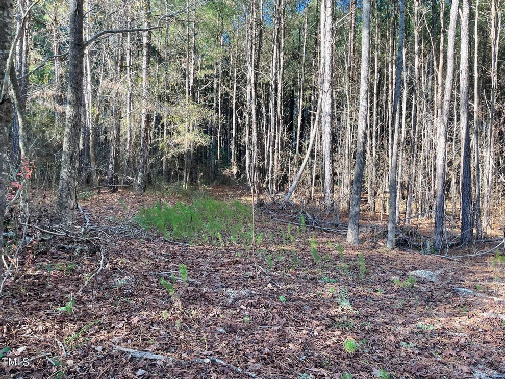 Unit for sale at 0 Turlington Road, Dunn, NC 28334