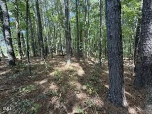 Unit for sale at 1 Massengill Pond Road, Angier, NC 27501