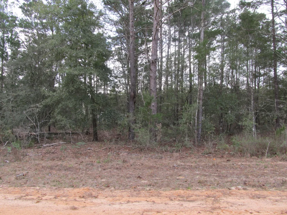 Unit for sale at Lot 6 Jonquil West Avenue, DeFuniak Springs, FL 32433