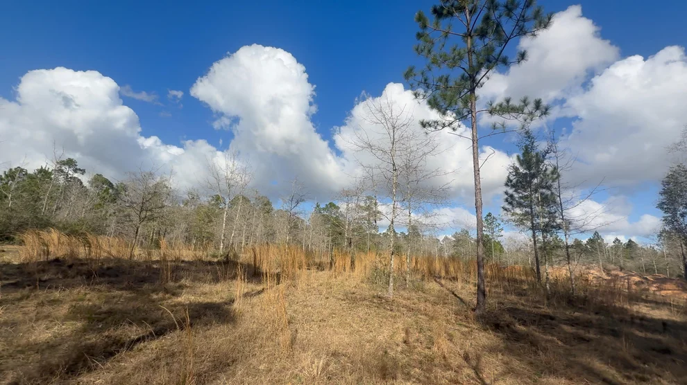 Unit for sale at 00 Native Creek Road, Milton, FL 32571