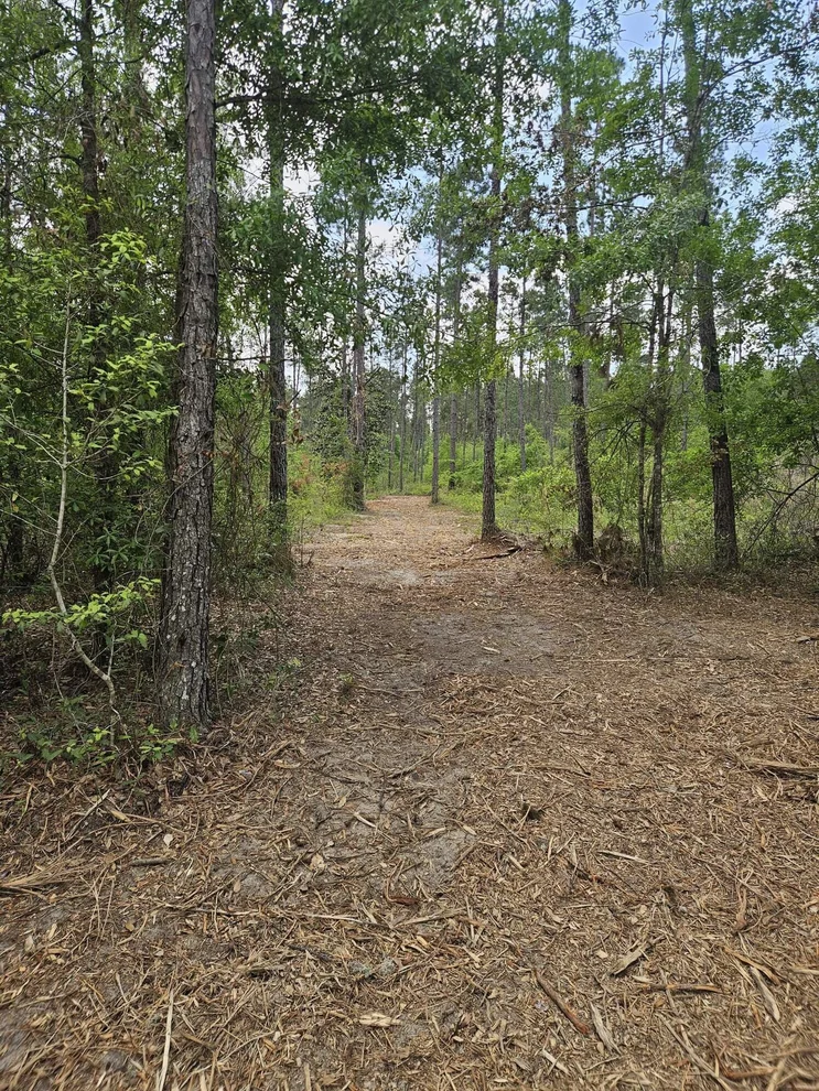 Unit for sale at Lot 2 Rocky Creek Road, Marianna, FL 32448
