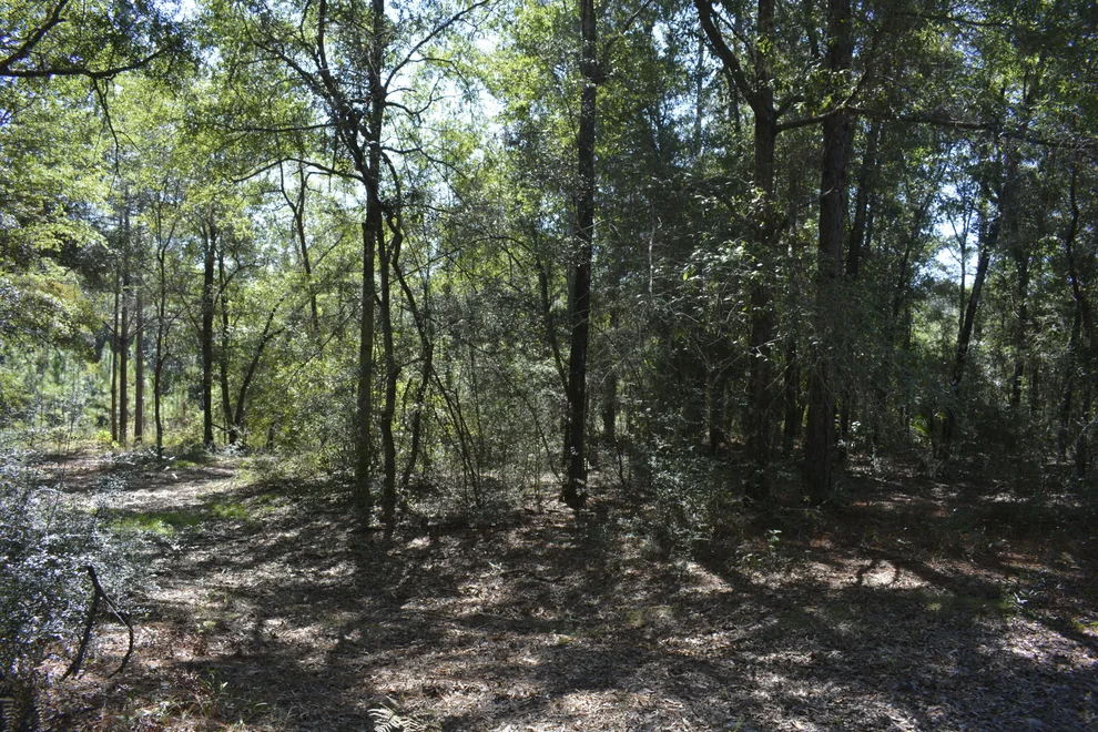 Unit for sale at xxx 32 ac. Aplin Road, Crestview, FL 32539