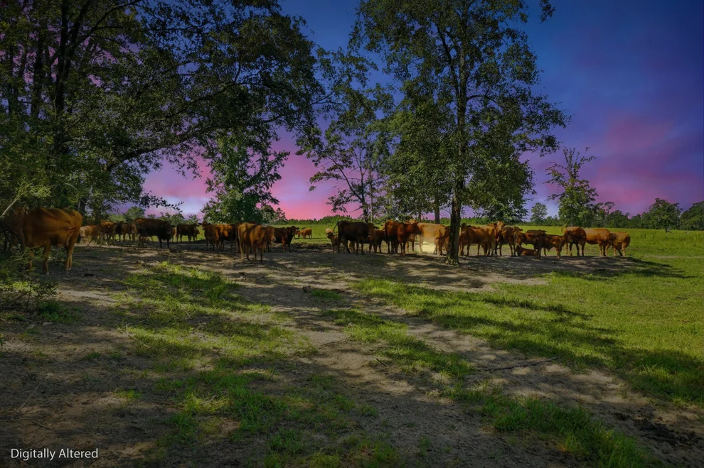 Unit for sale at 520 Acres US Hwy 331 N, DeFuniak Springs, FL 32433