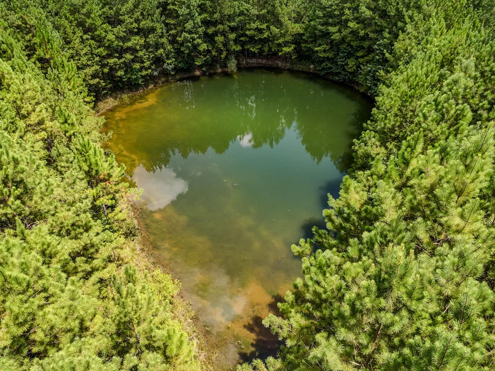 Unit for sale at 27.79 Acre County Highway 183B, DeFuniak Springs, FL 32433