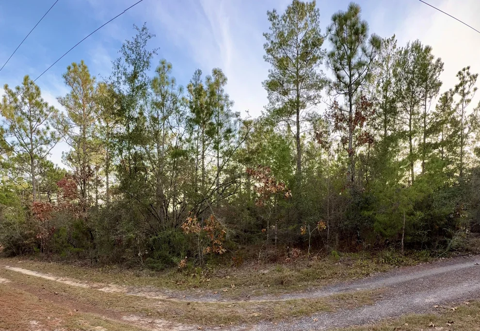 Unit for sale at Lots 9-11 Tangerine & Lot 2 Girl Scout, DeFuniak Springs, FL 32433