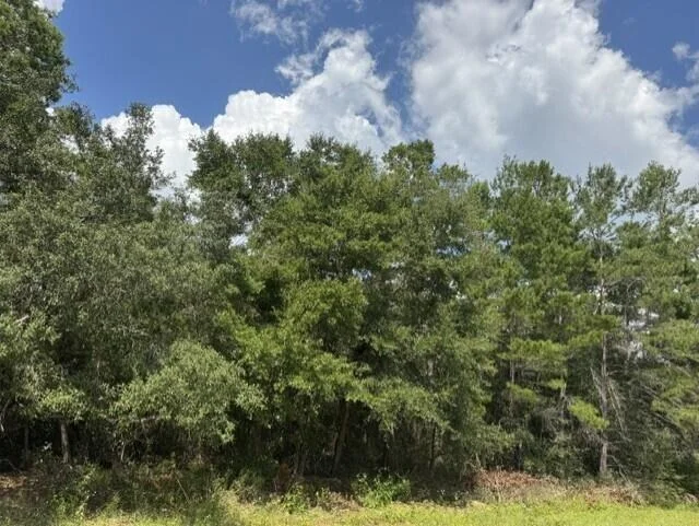 Unit for sale at Lot 8 Bushton Street, Navarre, FL 32566