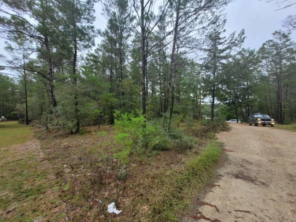 Unit for sale at Lot 2 Blk 101 E. Bluebottle Court, DeFuniak Springs, FL 32433