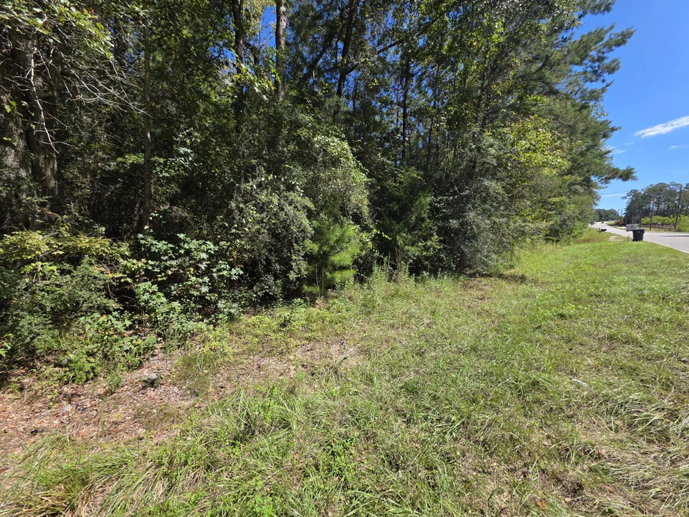 Unit for sale at Lot 1 & 2 Antioch Road, Crestview, FL 32536