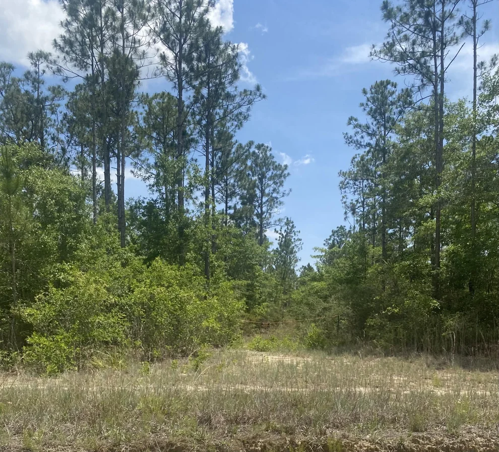 Unit for sale at TBD Joe Dugger Road, Freeport, FL 32439