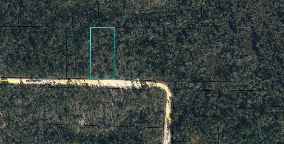 Unit for sale at Lot 40 POPPY Street, Marianna, FL 32448