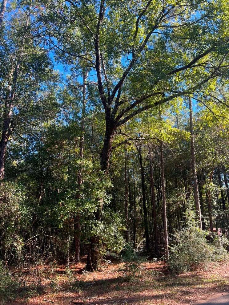 Unit for sale at 4.7 Acres Riverchase Road, Harold, FL 32563