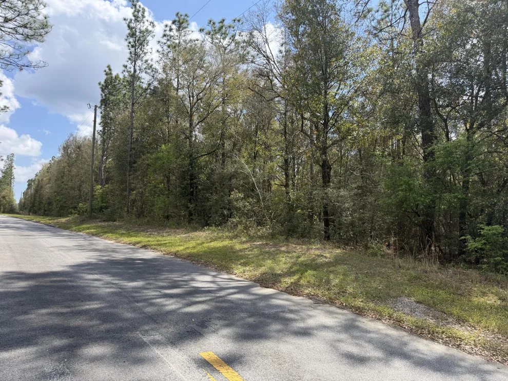 Unit for sale at 10+ AC Broxson Road, Holt, FL 32564