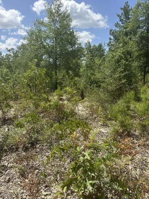 Unit for sale at 4 Daffodil Court, Mossy Head, FL 32434