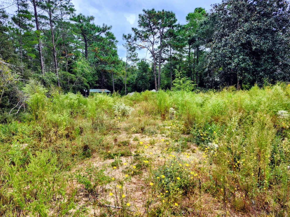 Unit for sale at Lot 21 Cottage Hill Drive, DeFuniak Springs, FL 32433