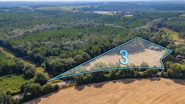 Unit for sale at 3 Acre -E Prescott Rd, Florala, AL 36442