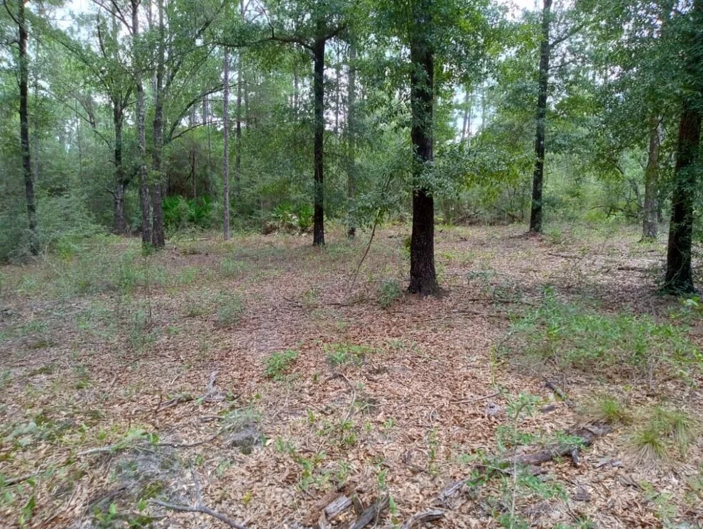 Unit for sale at Lots 7 & 8 E Yellow Poplar Avenue, DeFuniak Springs, FL 32433