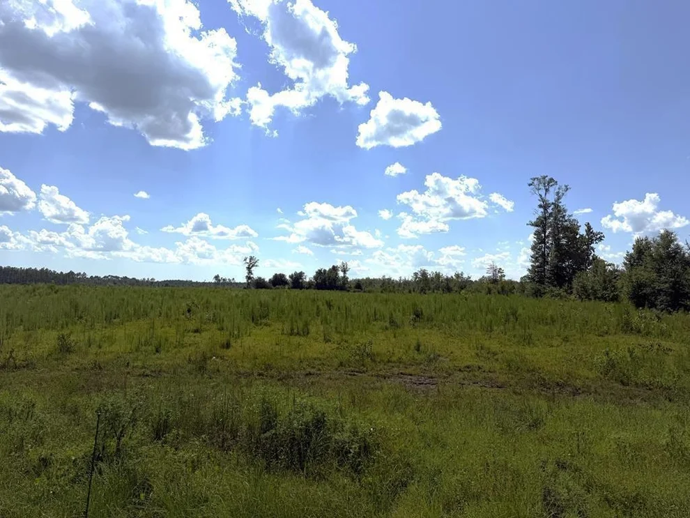 Unit for sale at Lot 2 Hwy 71 S, Wewahitchka, FL 32465