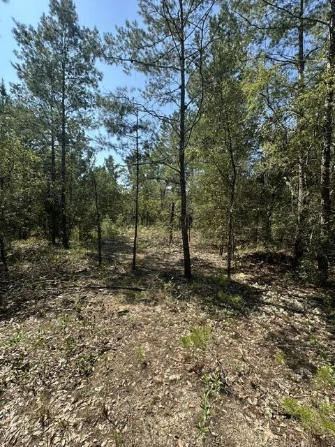 Unit for sale at lot 4 & 5 E Buckeye Street, DeFuniak Springs, FL 32433