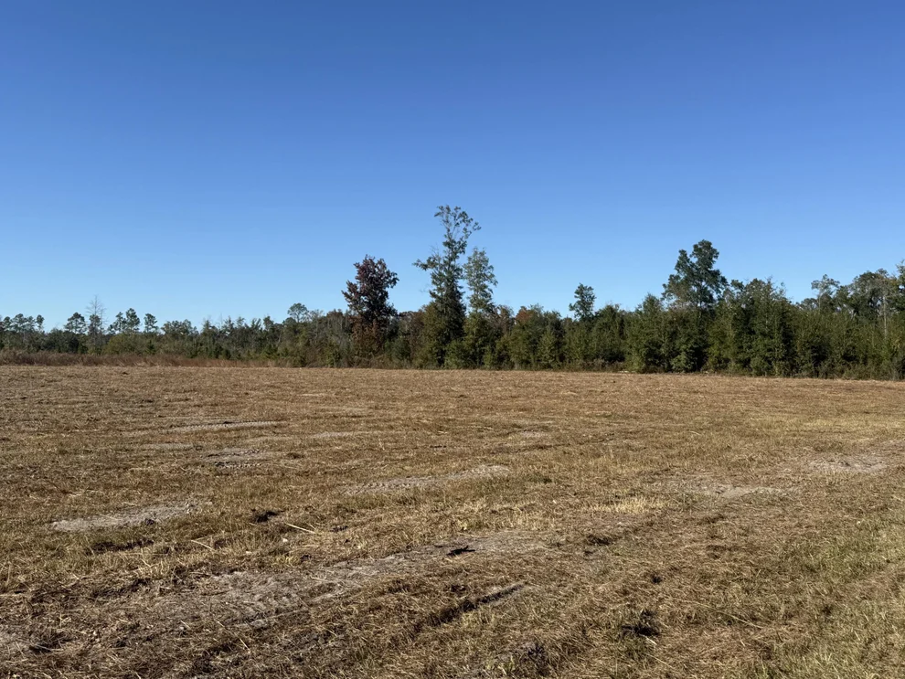 Unit for sale at Lot 1 Hwy 71, Wewahitchka, FL 32465