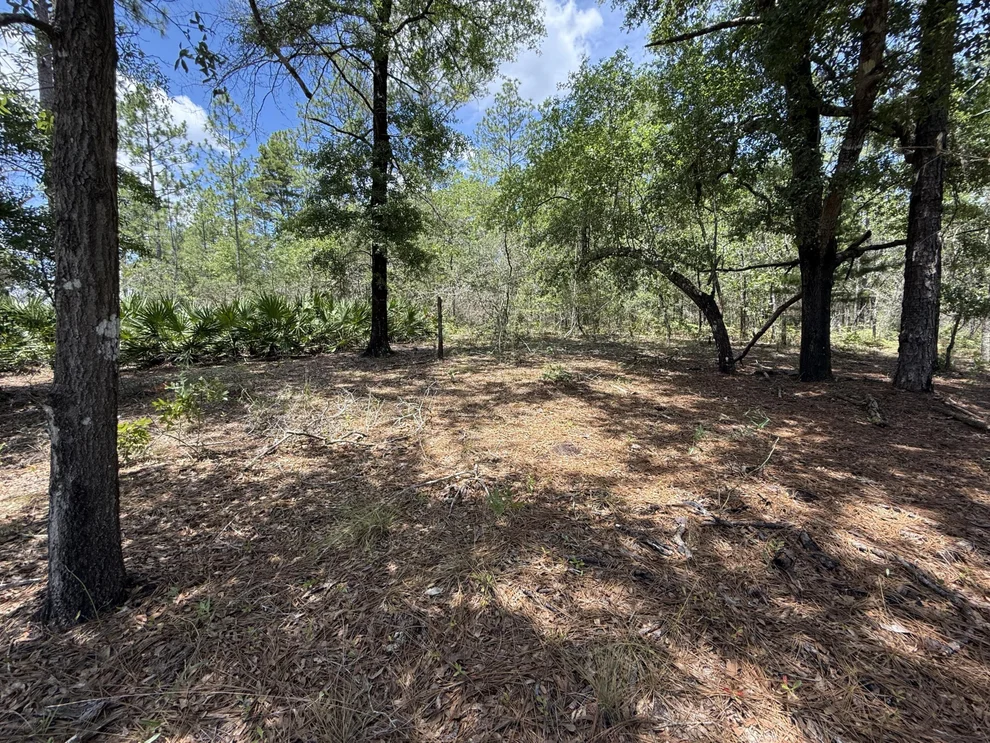 Unit for sale at Lot 39 BLk 68 on Clearwater, DeFuniak Springs, FL 32433