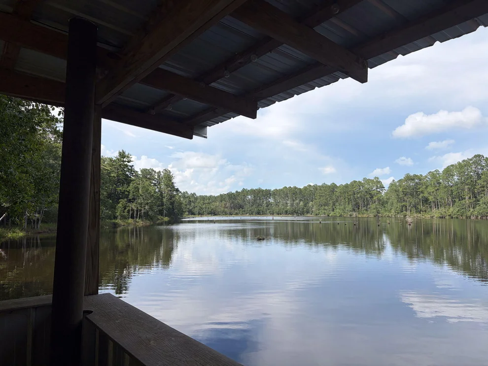 Unit for sale at 82 acres 4 Flags Road, Laurel Hill, FL 32567