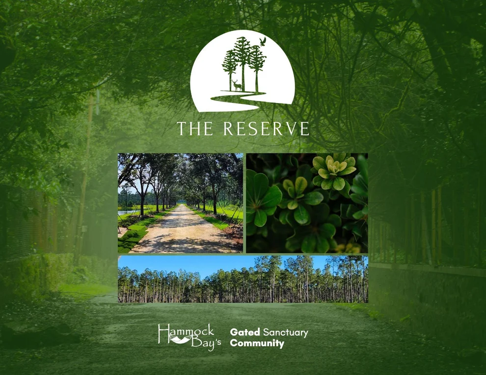 Unit for sale at Lot 8 Reserve at Hammock Bay, Freeport, FL 32439
