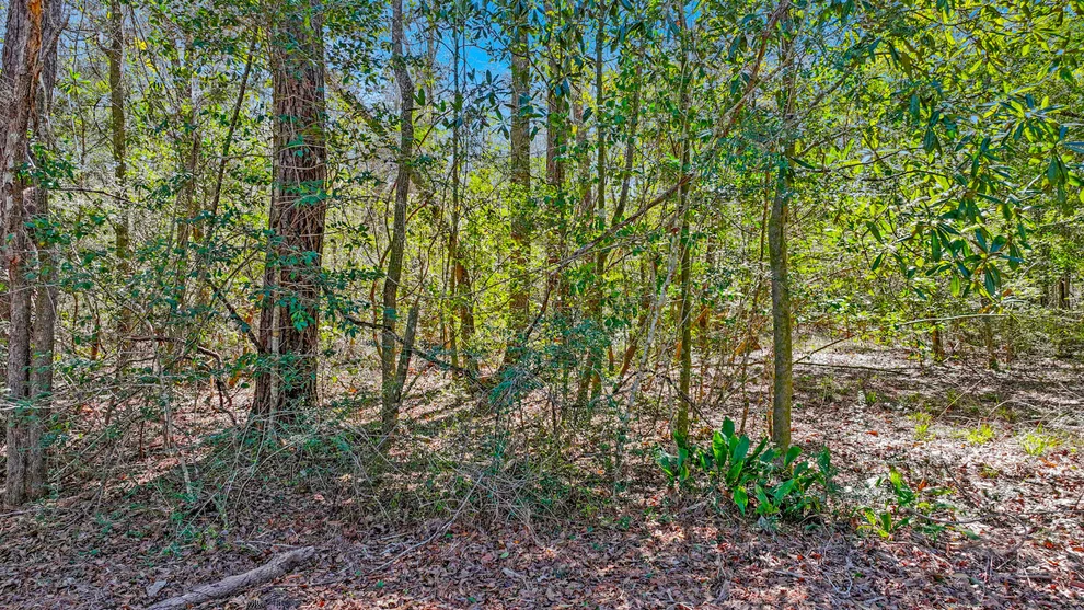 Unit for sale at TBD Cedar Log Lake Road, Ponce De Leon, FL 32455