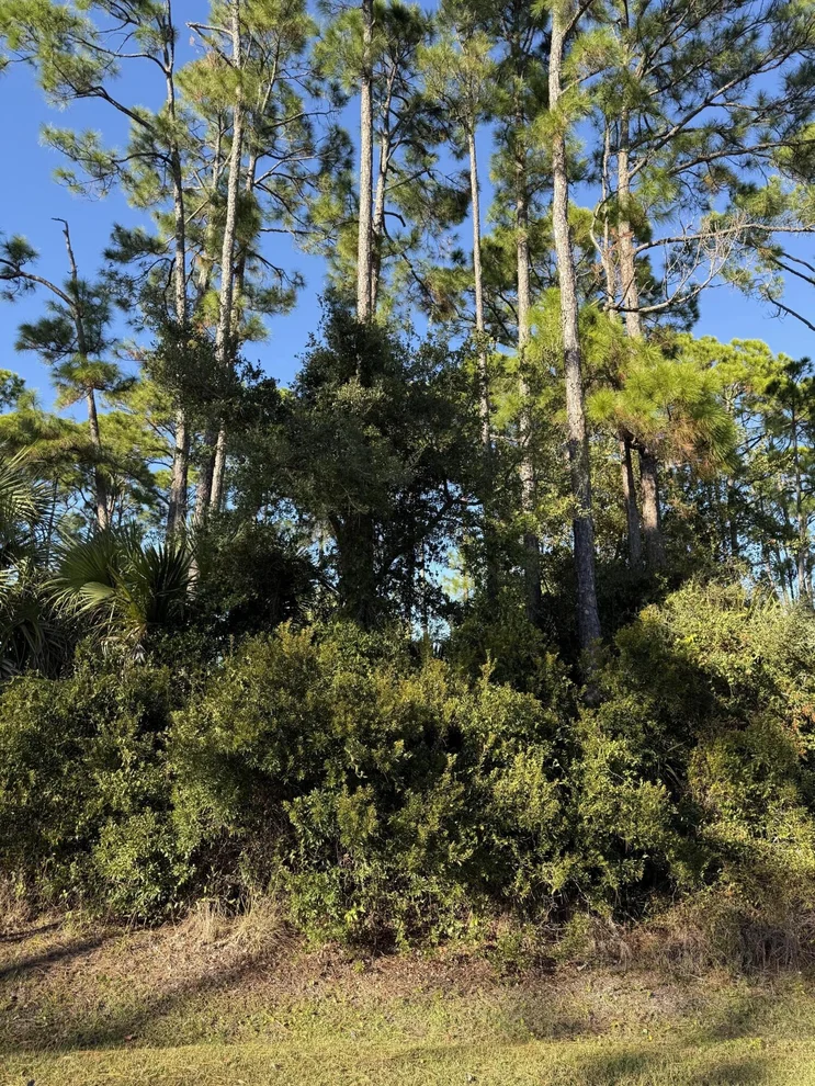 Unit for sale at 123 Cottage Lane, Port St. Joe, FL 32456