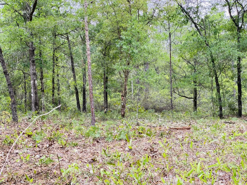 Unit for sale at E Black Cherry Dr, DeFuniak Springs, FL 32433