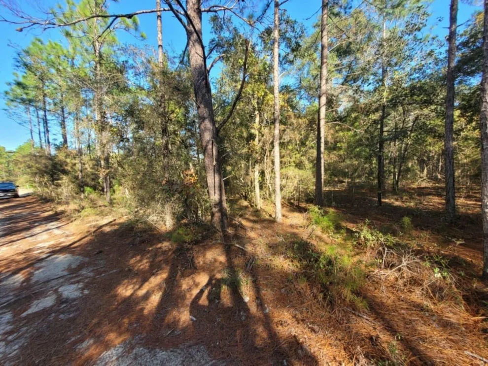 Unit for sale at Lot 10 Blk 20 English Holly Lane, DeFuniak Springs, FL 32433