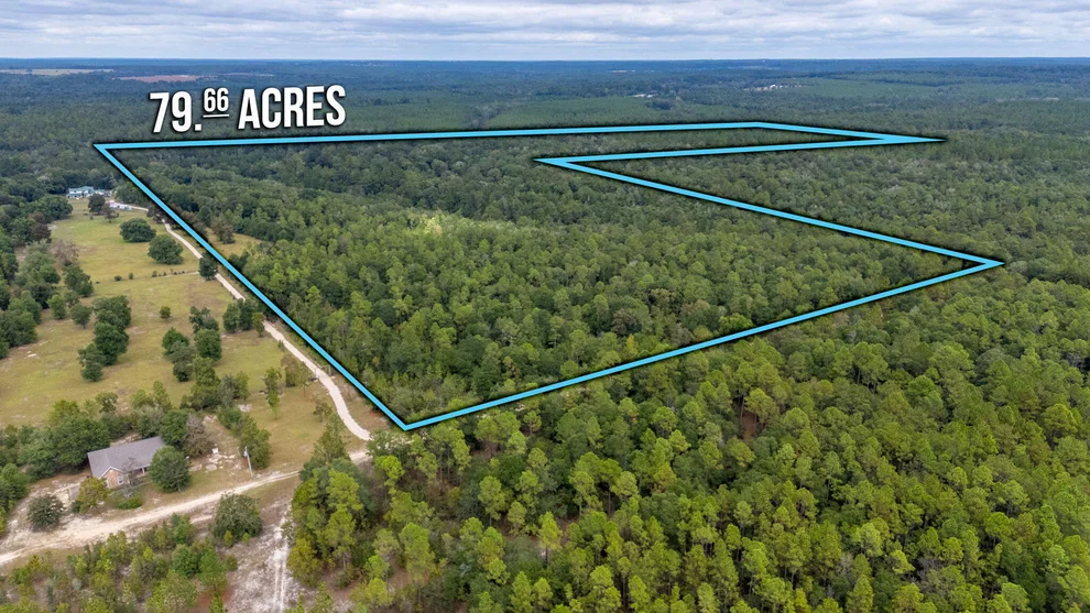 Unit for sale at 79 Acres Bucking Up Road, Laurel Hill, FL 32567