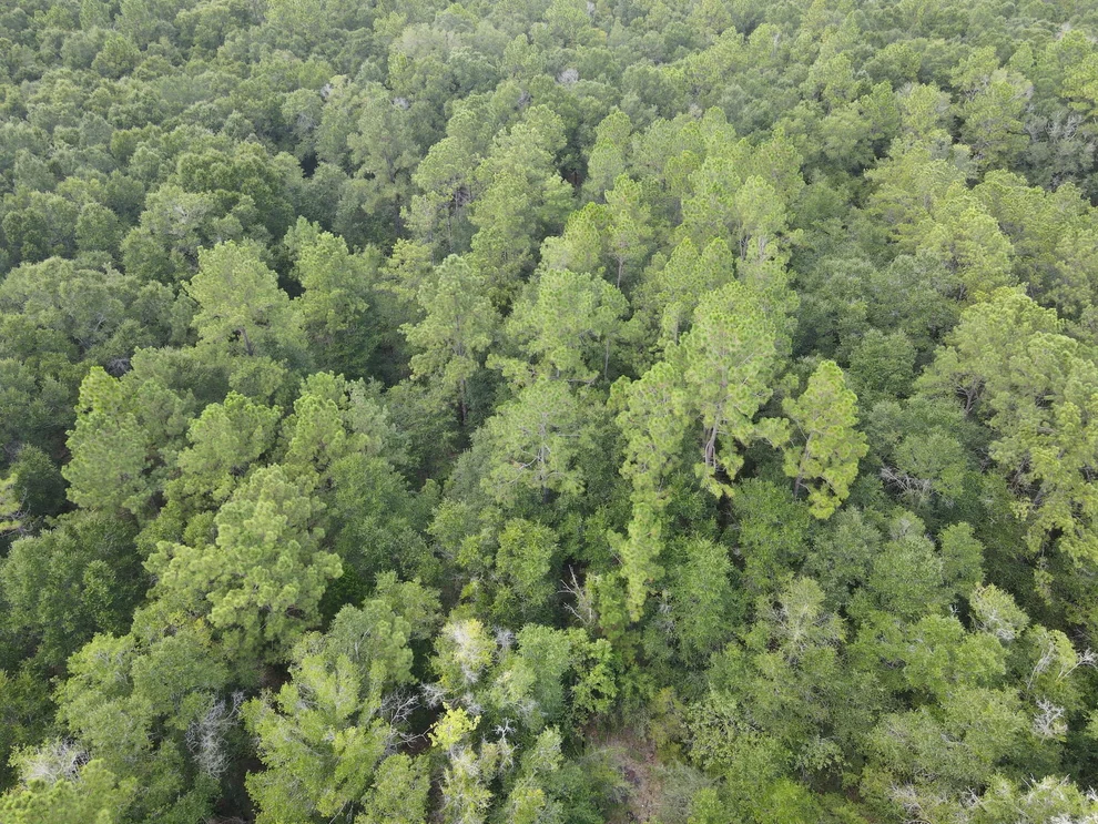 Unit for sale at 4.41 AC Summertime Drive, Holt, FL 32564