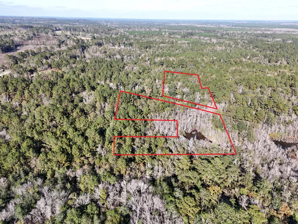 Unit for sale at 160 Louie Miller Road, Ponce De Leon, FL 32455