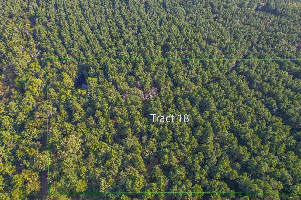 Unit for sale at Tract 18 County Road 4224, Frankston, TX 75763