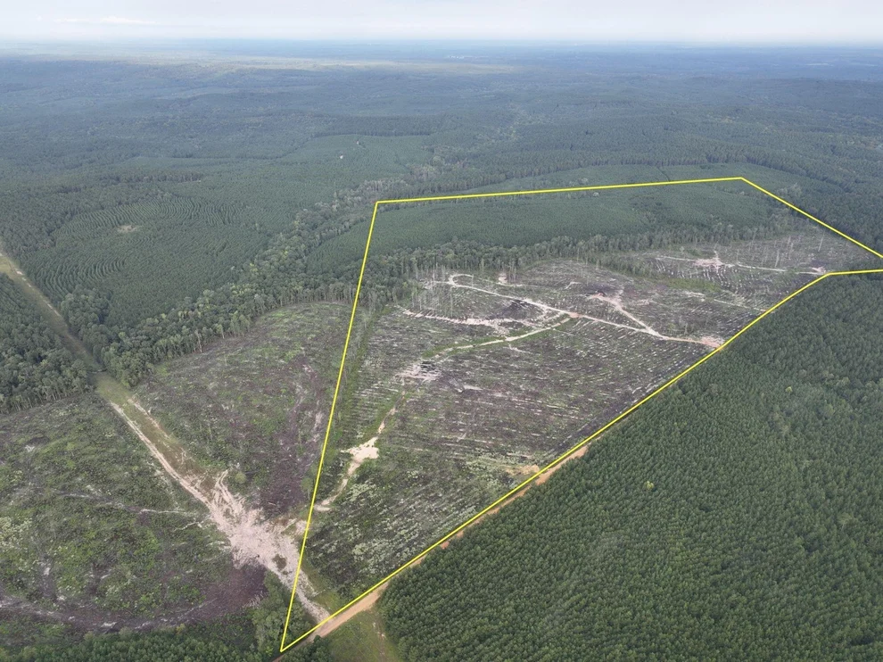 Unit for sale at 1 Red Rock Road, Robeline, LA 71469