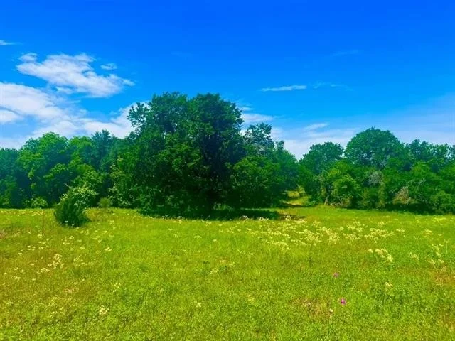 Unit for sale at Lot 100 Arlow Road, Poolville, TX 76487