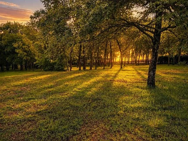 Unit for sale at 0000 Tee Taw Circle, Sherman, TX 75092