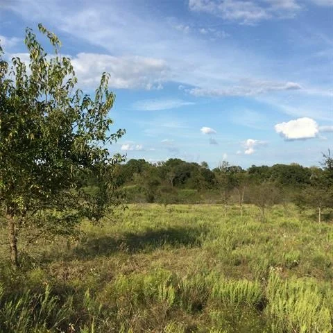Unit for sale at 1821 State Highway 309, Kerens, TX 75144