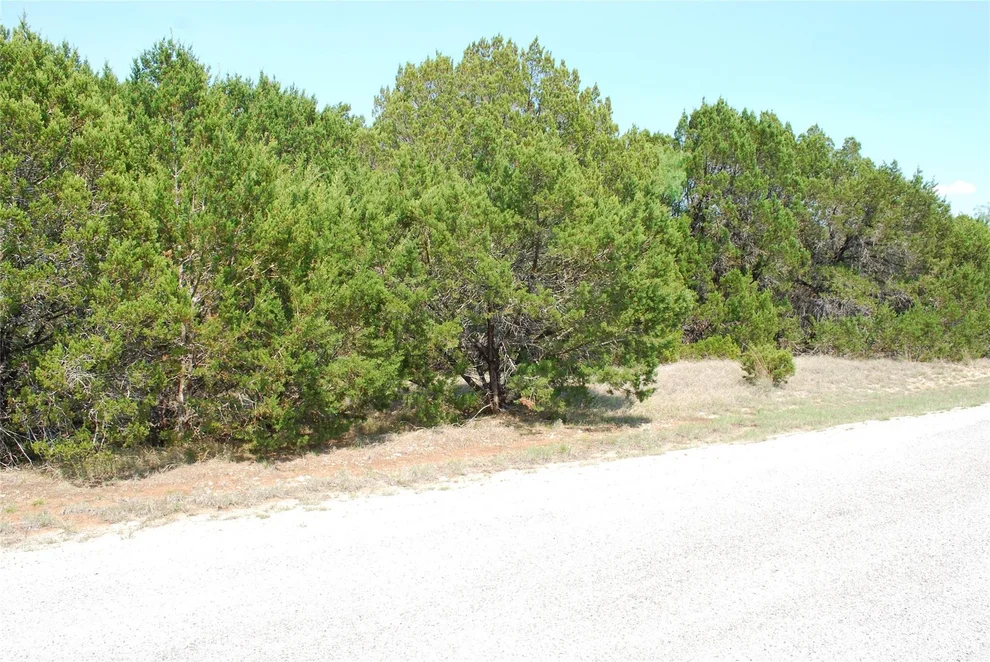 Unit for sale at 12101 Oak Dale Drive, Whitney, TX 76692