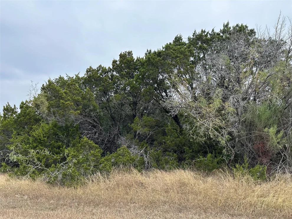 Unit for sale at 33029 Woodcrest Drive, Whitney, TX 76692
