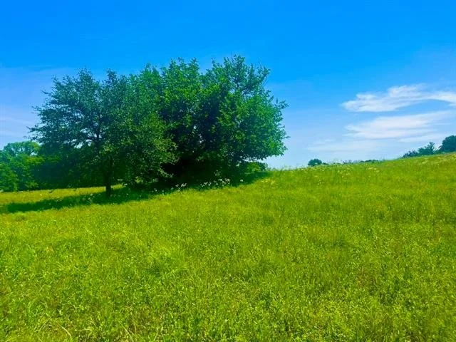 Unit for sale at Lot 102 Arlow Road, Poolville, TX 76487