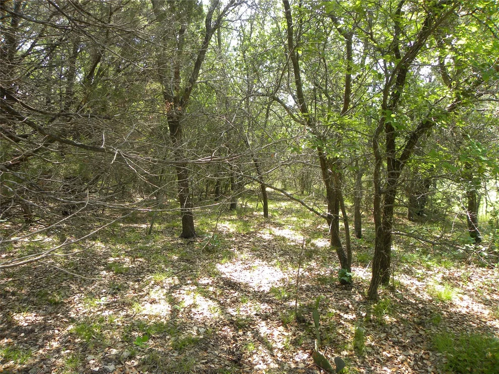 Unit for sale at 1303 Ash Court, Whitney, TX 76692
