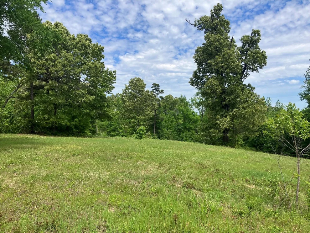 Unit for sale at TBD Ridgeline Loop, Winona, TX 75792