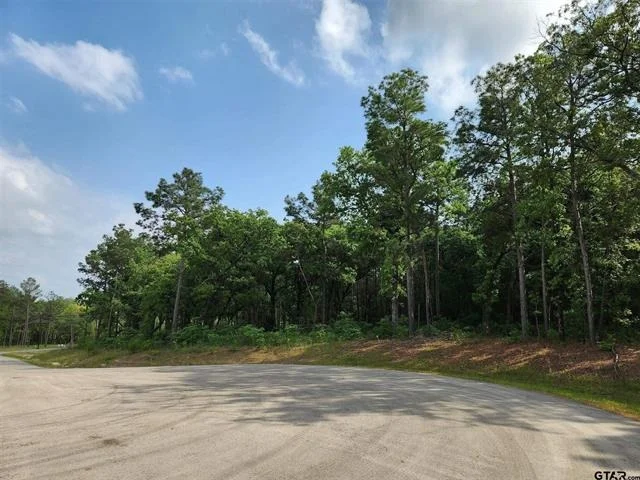 Unit for sale at 3281 Shadow Pine Drive, Larue, TX 75770
